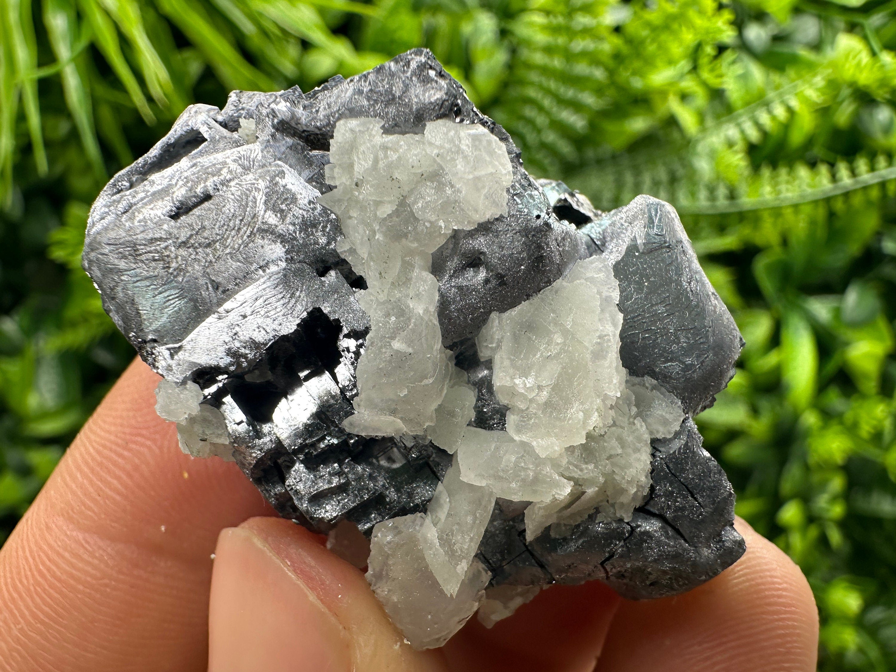 Galena Cluster: Borieva Mine, Madan, Bulgaria