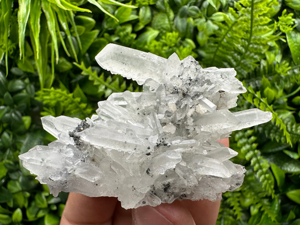 Quartz Calcite Chlorite Crystal: Borieva Mine, Bulgaria