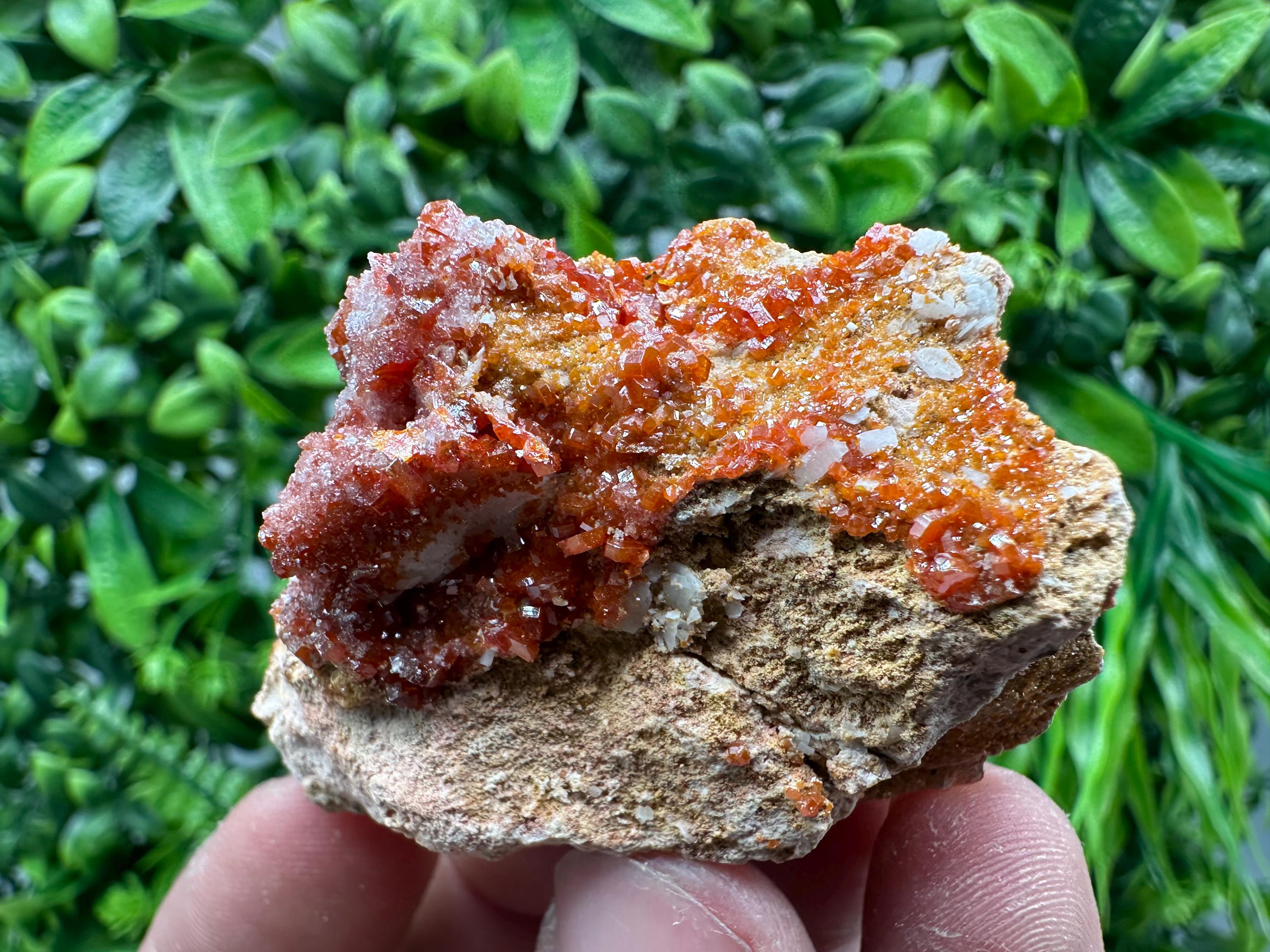 Red Vanadinite Crystal Cluster on Matrix, Morocco Mineral Specimen
