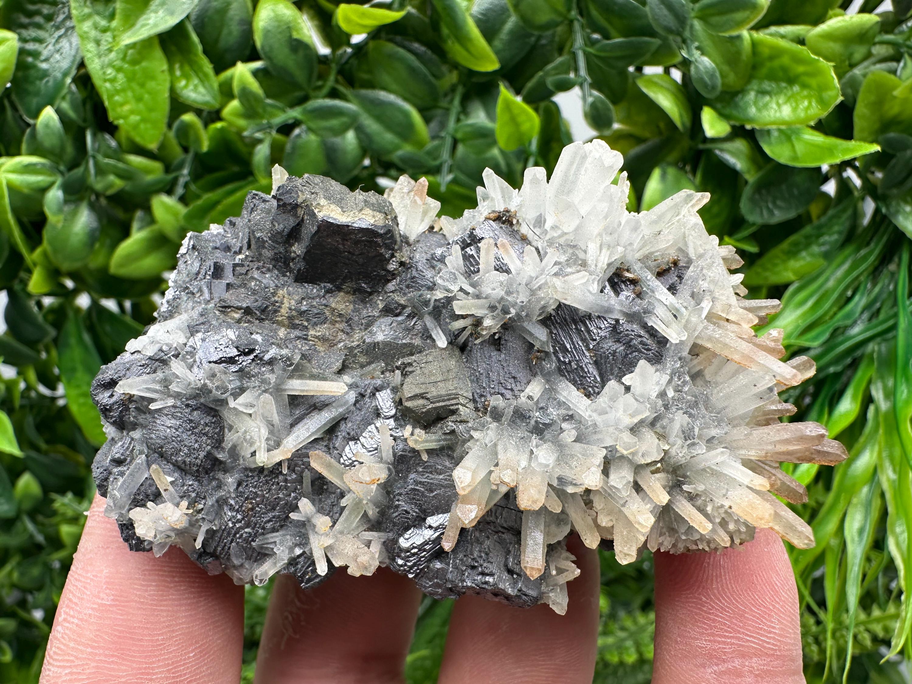 Galena, Sphalerite, Chalcopyrite, and Quartz Mineral Specimen, Djurcovo Mine