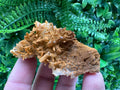 Limonite Coated Quartz Crystal - Iron Oxide Mineral Specimen