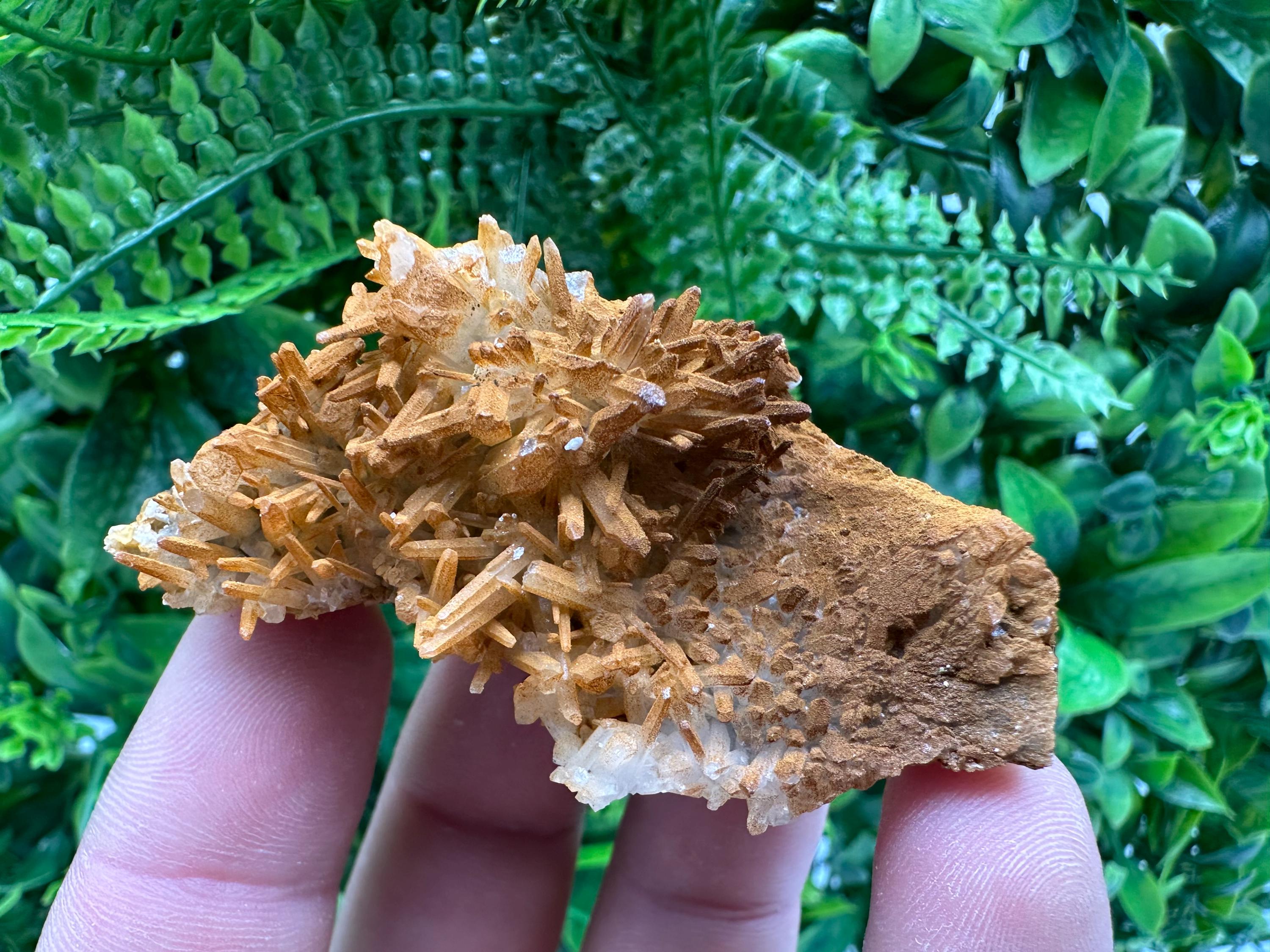 Limonite Coated Quartz Crystal - Iron Oxide Mineral Specimen