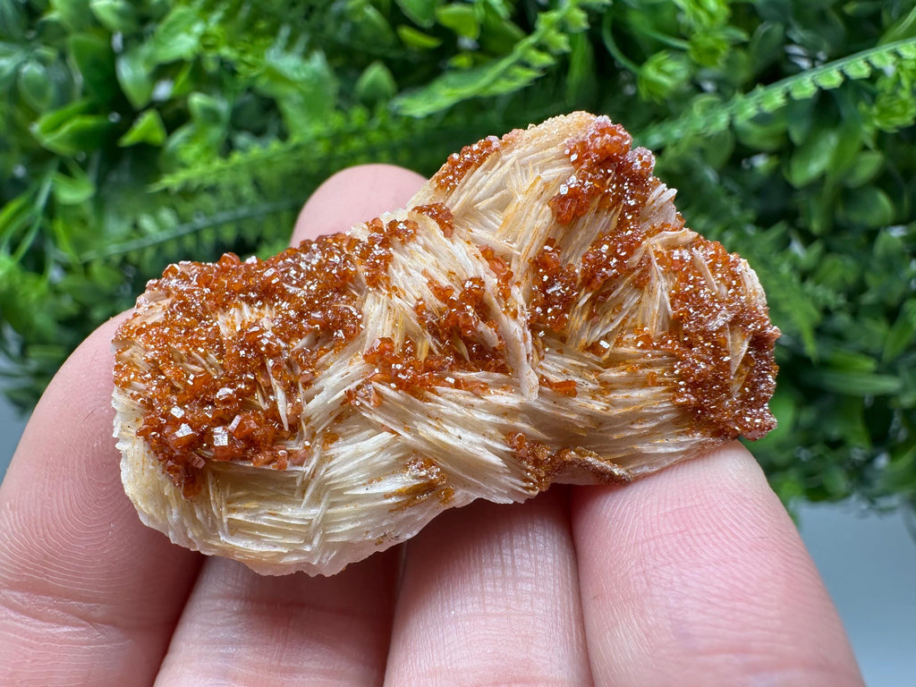 Red Vanadinite on Barite, Morocco Crystal Specimen