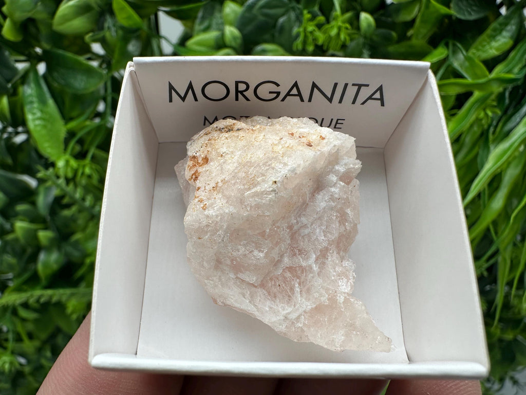 Rare Raw Morganite Specimen: Mozambique Crystal Collection (3/3.5cm)