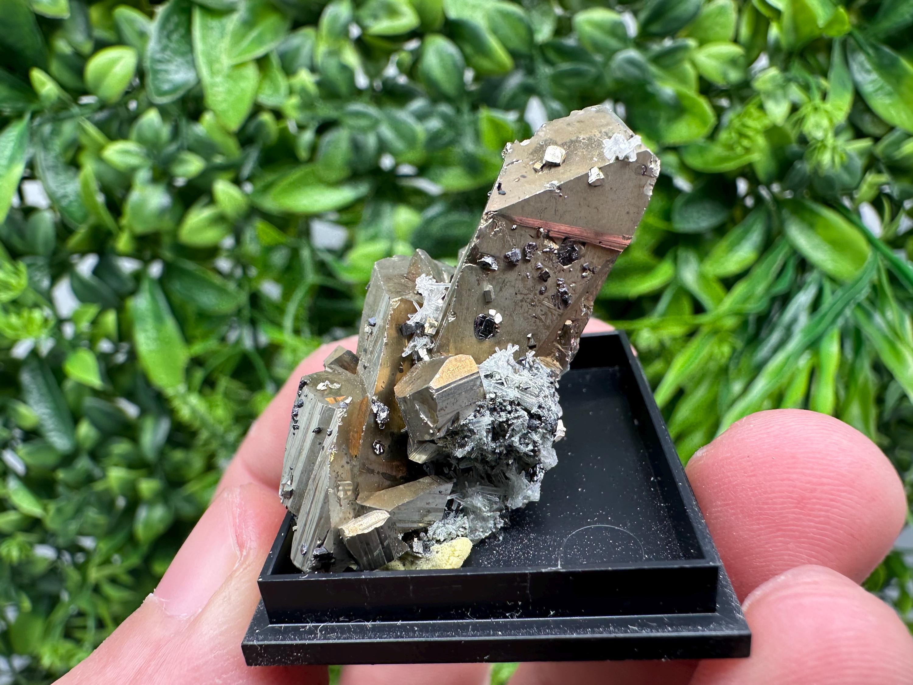Rare Crystalline Pyrite Cluster - Borieva Mine, Bulgaria