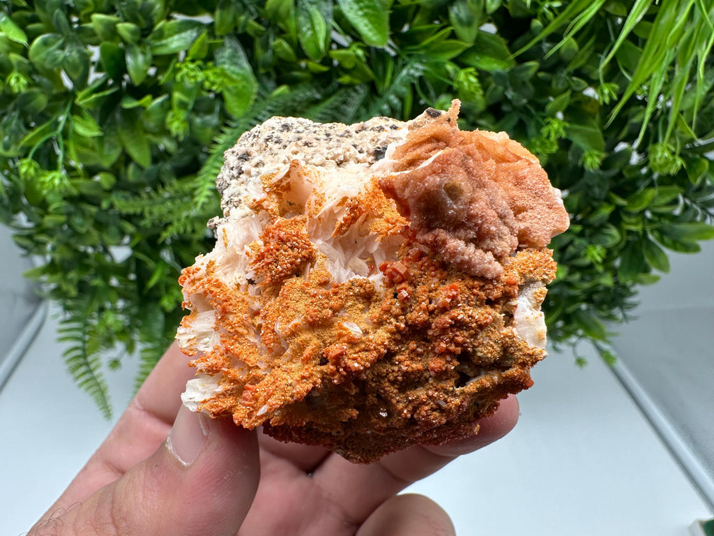 Red Vanadinite on Barite from Marocco,crystal minerals Speciment cluster Vanadinite crystal Vanadinite Geology Vanadinite cluster minerals