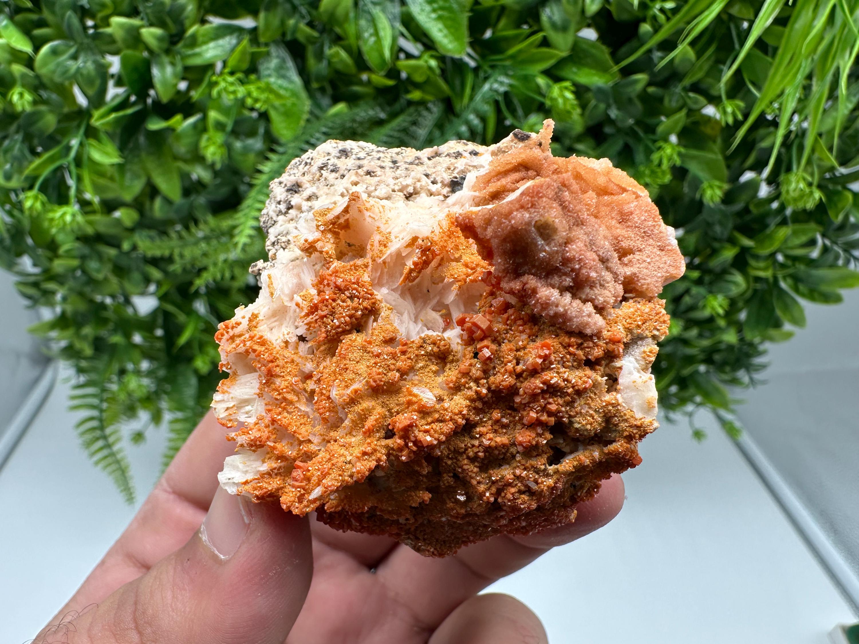 Red Vanadinite on Barite from Marocco,crystal minerals Speciment cluster Vanadinite crystal Vanadinite Geology Vanadinite cluster minerals