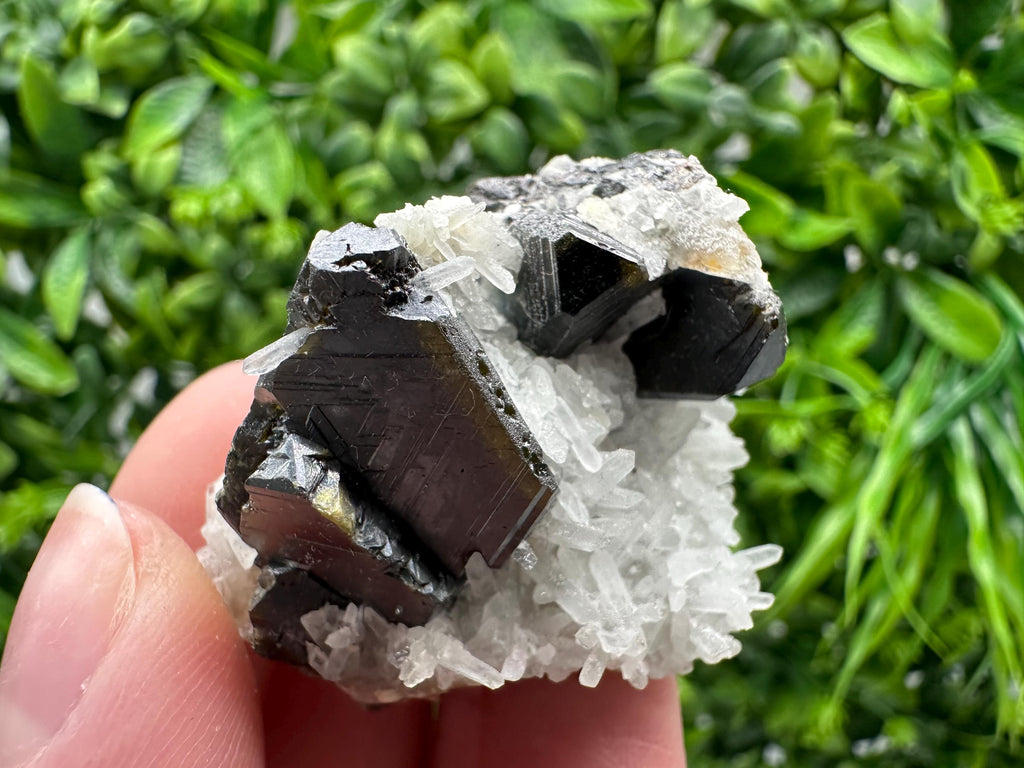 Wonderful Sphalerite Chalcopyrite on  Quartz whit Galena feom 9 th September mine,Bulgaria,natural,collection mineral specimen,gift