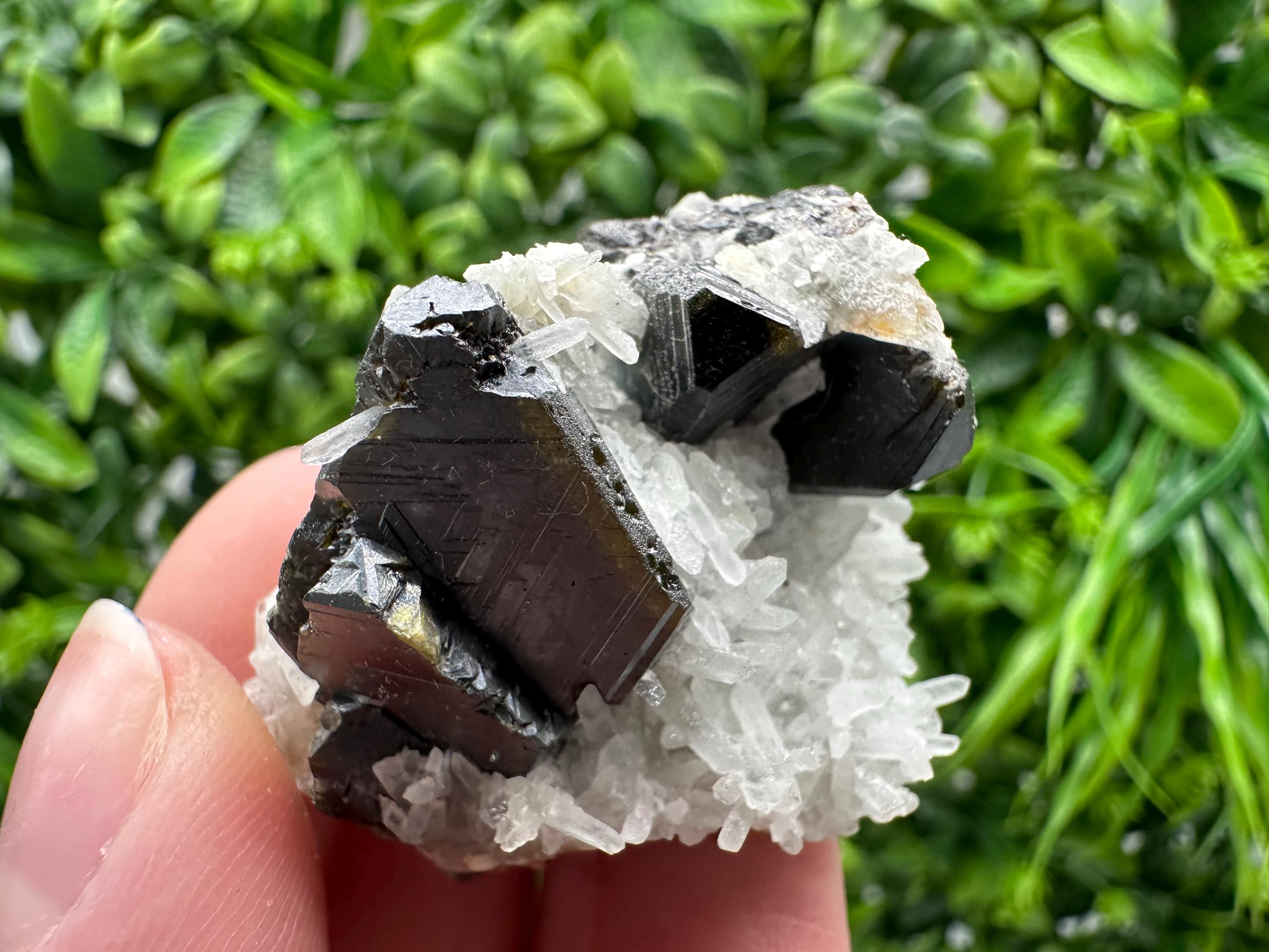 Wonderful Sphalerite Chalcopyrite on  Quartz whit Galena feom 9 th September mine,Bulgaria,natural,collection mineral specimen,gift