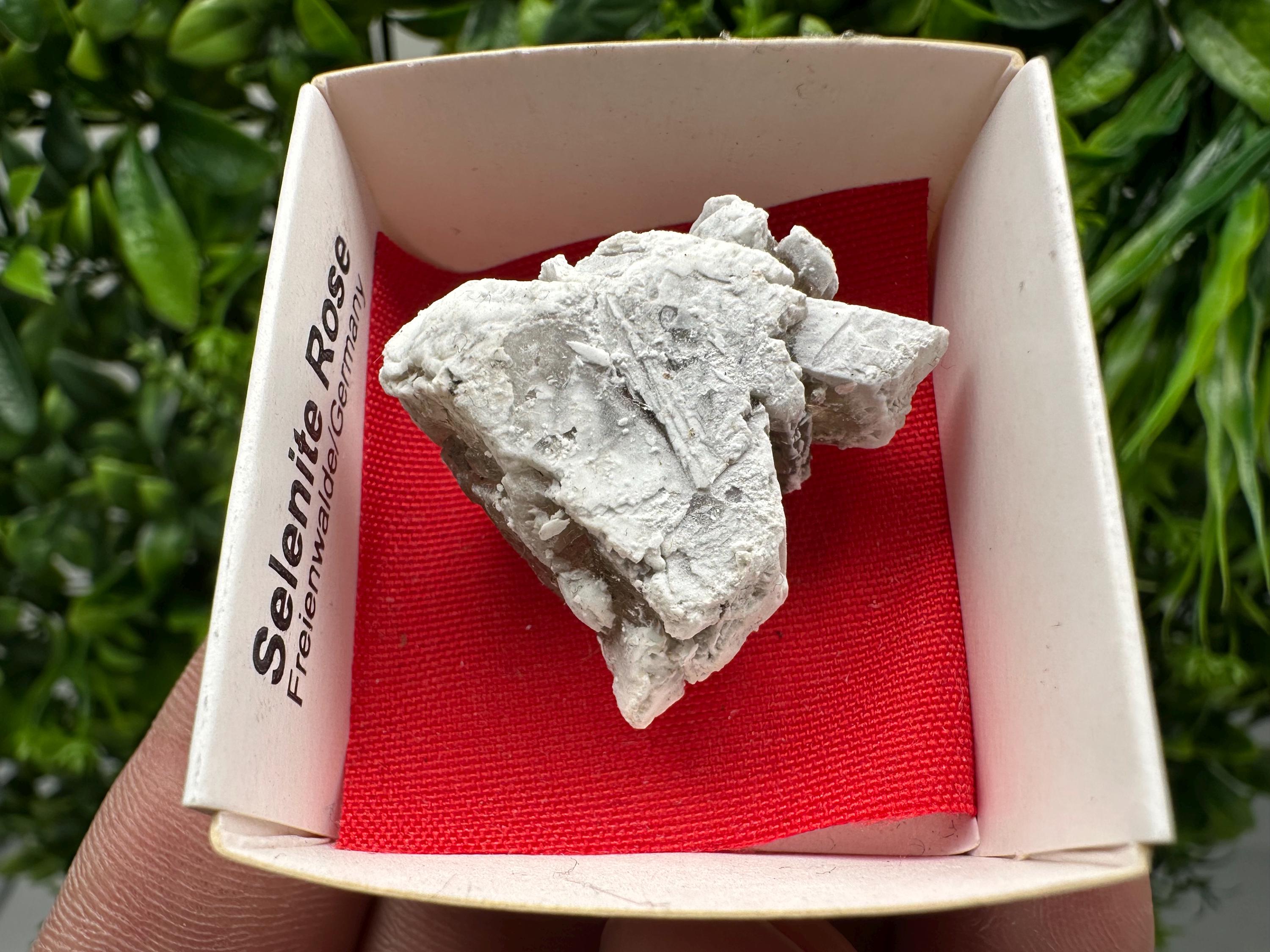 Selenite Rose Freienwalde,Germany natural crystal minerals,specimen,clusters,souvenirs,home decor,gift minerals,rare stone,collection