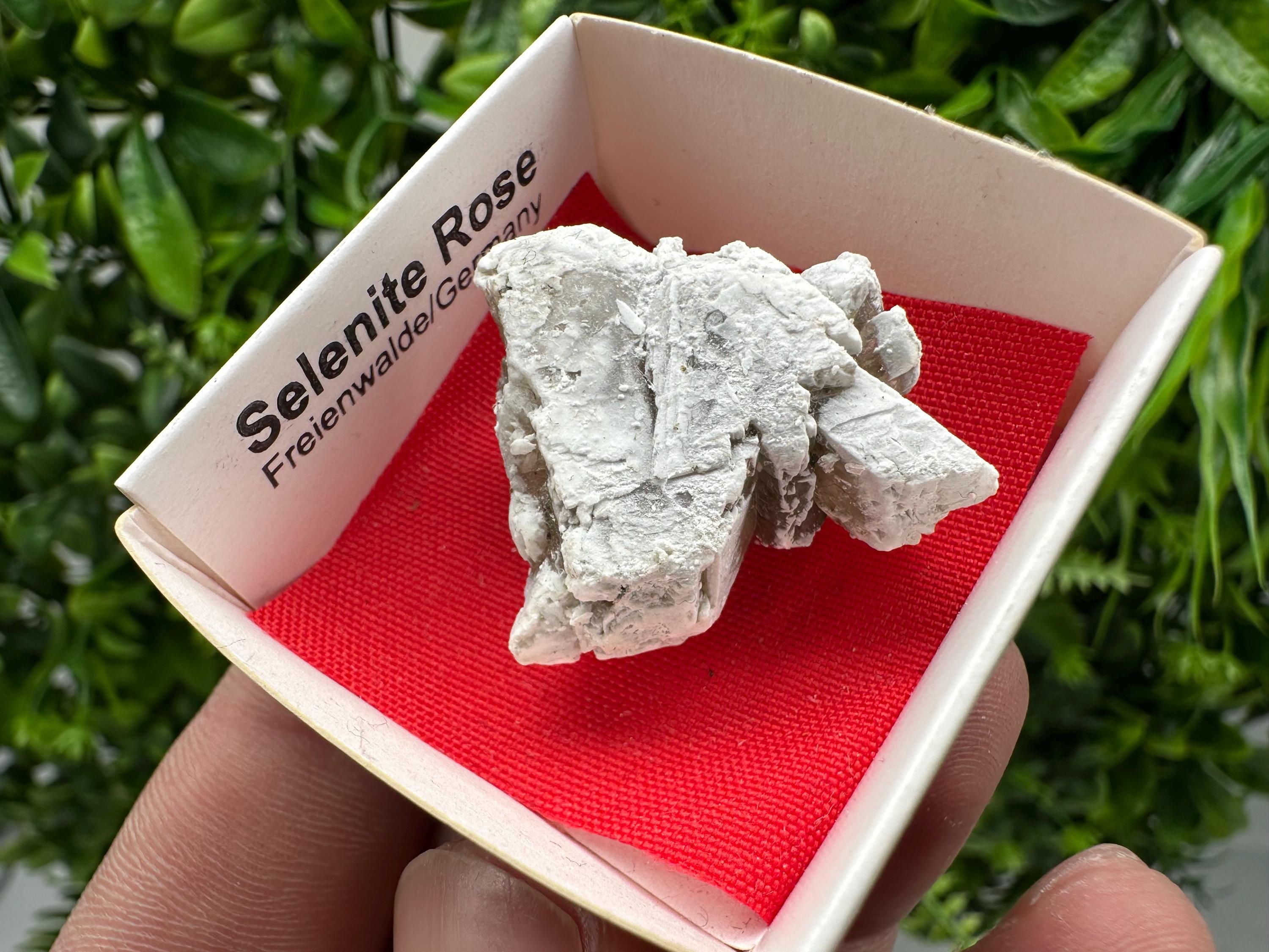 Selenite Rose Freienwalde,Germany natural crystal minerals,specimen,clusters,souvenirs,home decor,gift minerals,rare stone,collection