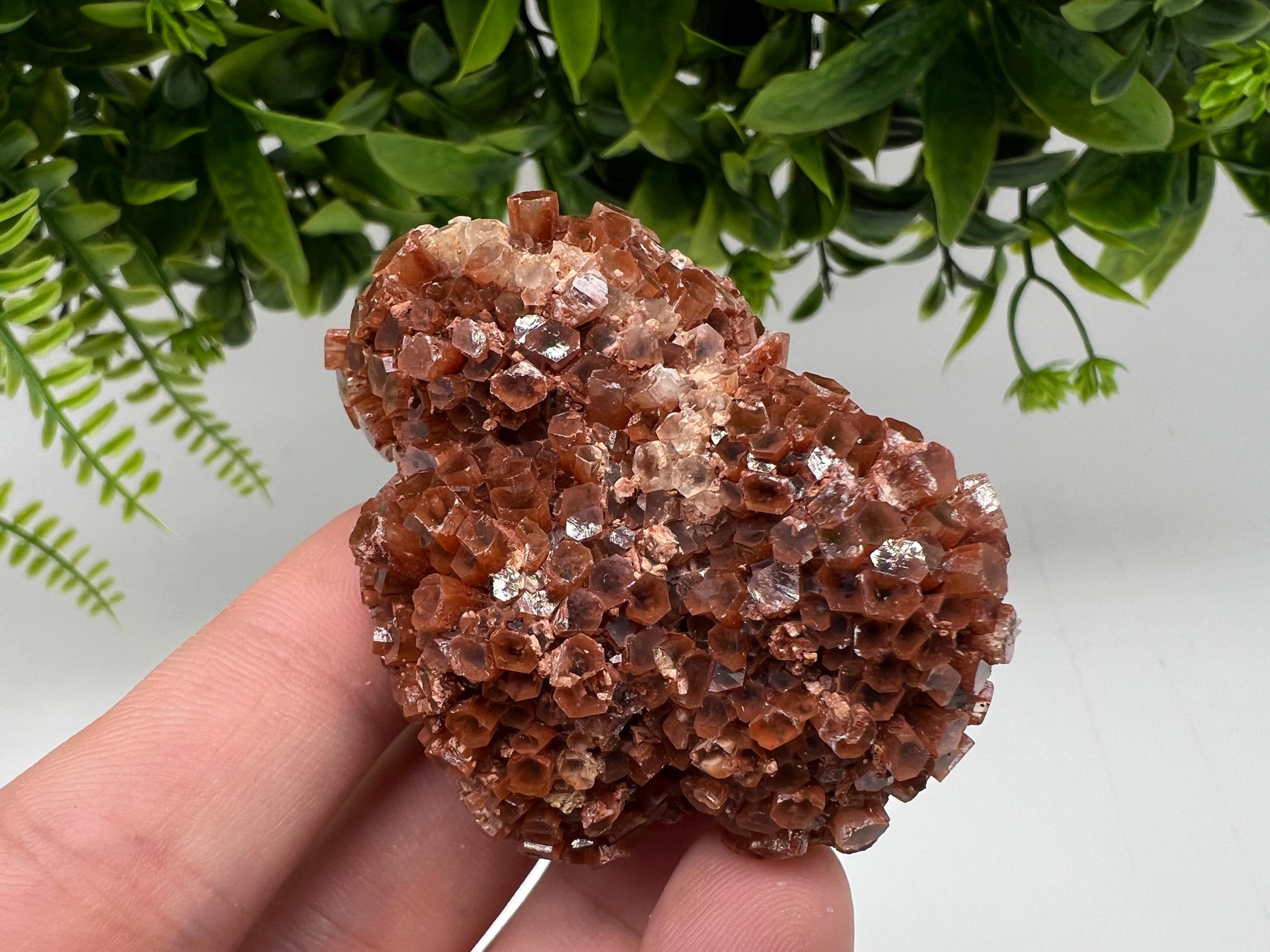 Large Aragonite Sputnik Cluster: Raw Moroccan Crystal Stone