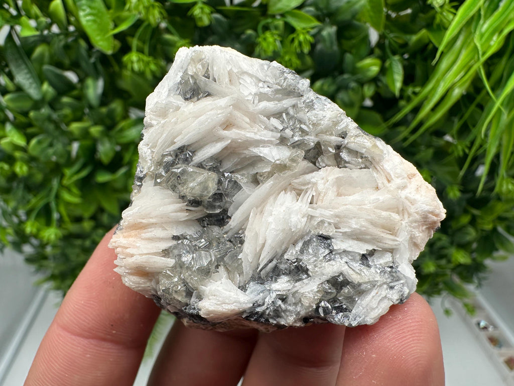 Wonderful Baryte with Cerussite on Galena from Morocco,Crystal, Mineral,Specimen,Cluster,Crystals,Barite Crystal,Cerussite Crystal,Specimen