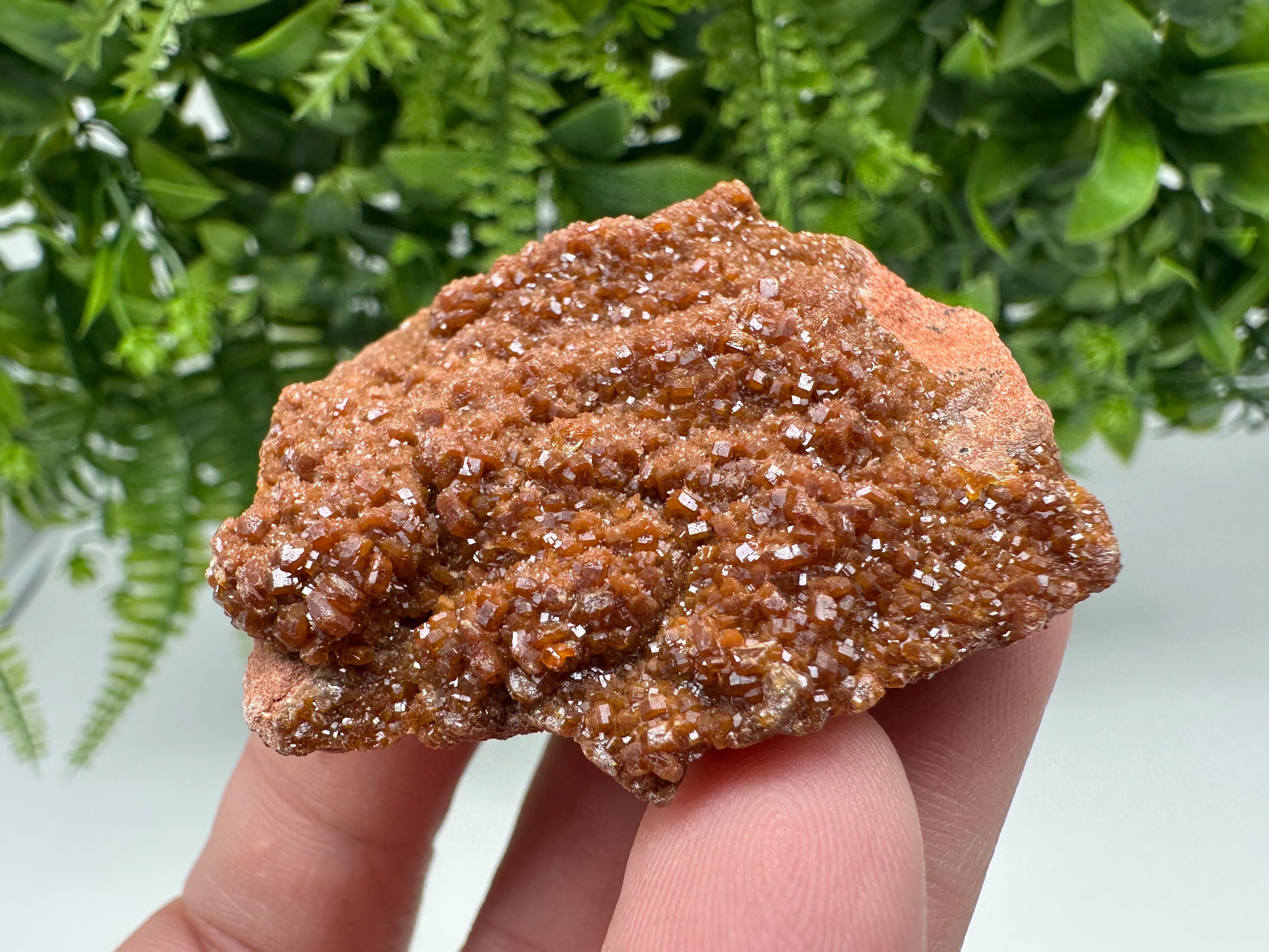 Red Vanadinite on Matrix from Marocco,crystal minerals Speciment cluster Vanadinite crystal Vanadinite Geology Vanadinite cluster minerals