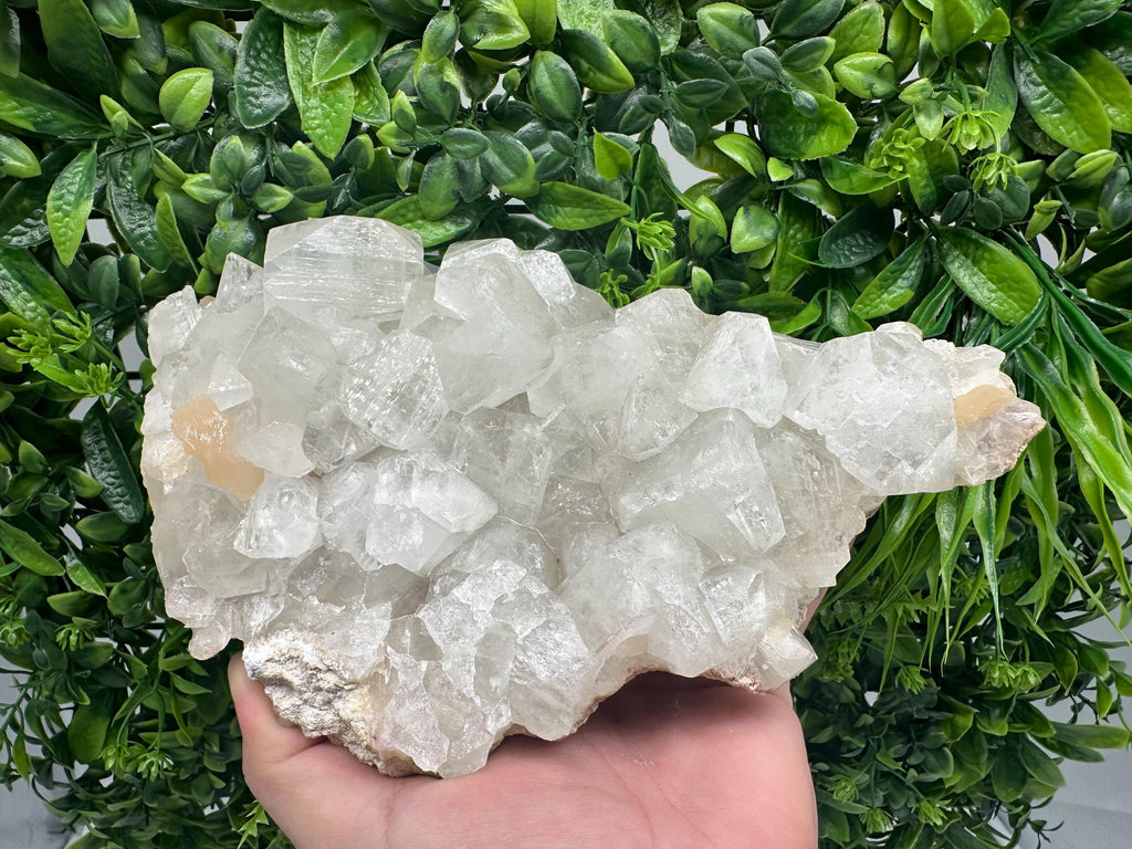 Large Apophyllite Stilbite on Chalcedony, India Mineral Specimen