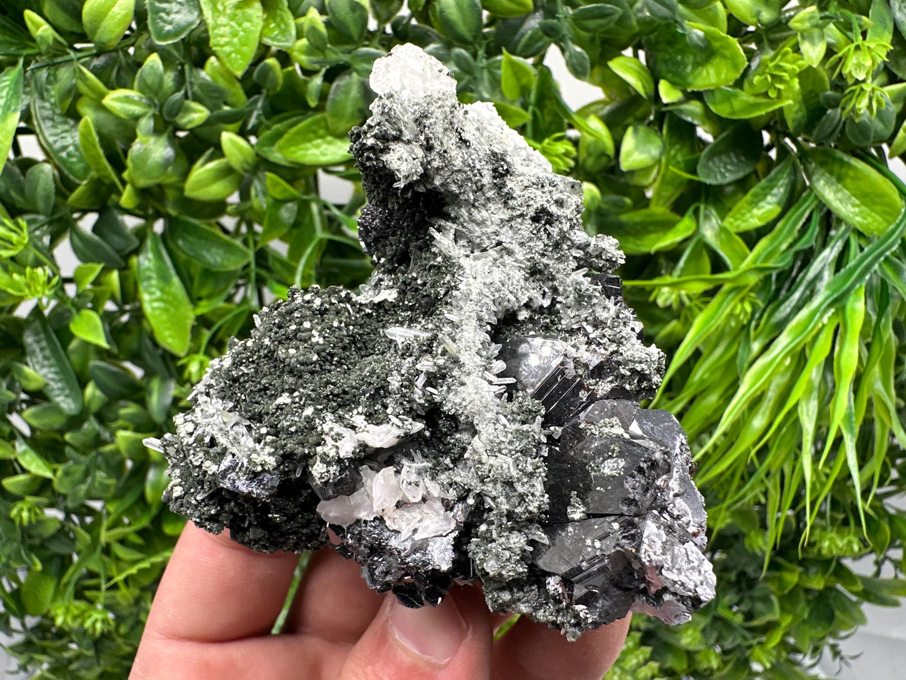 Galena Quartz Sphalerite Mineral Specimen: Borieva Mine, Bulgaria