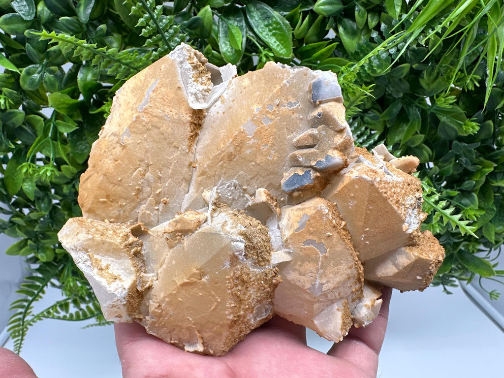 Limonite Coated Quartz Crystal, Djurcovo Mine, Bulgaria