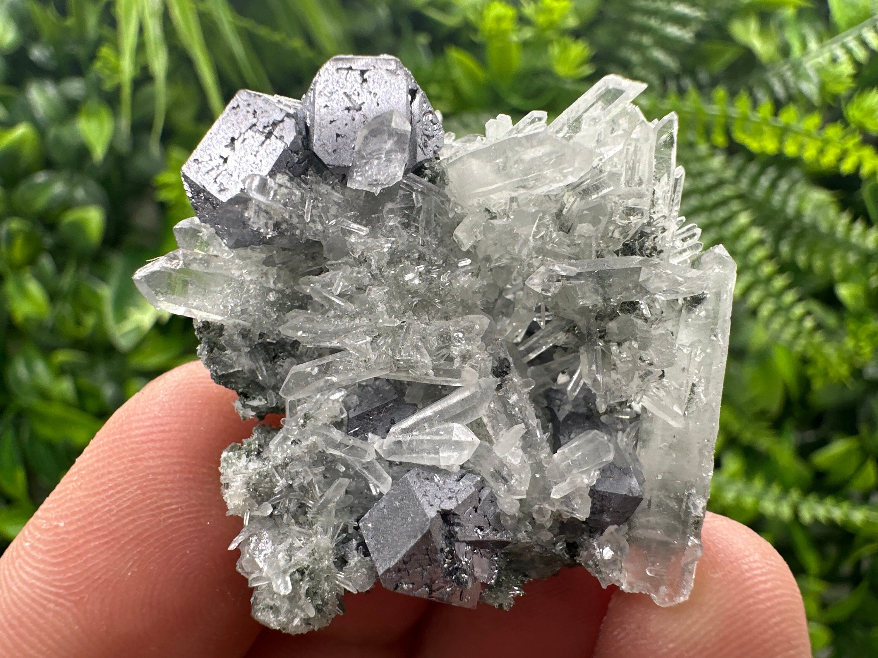 Galena on Green Quartz with Chlorite, Borieva Mine Mineral Specimen