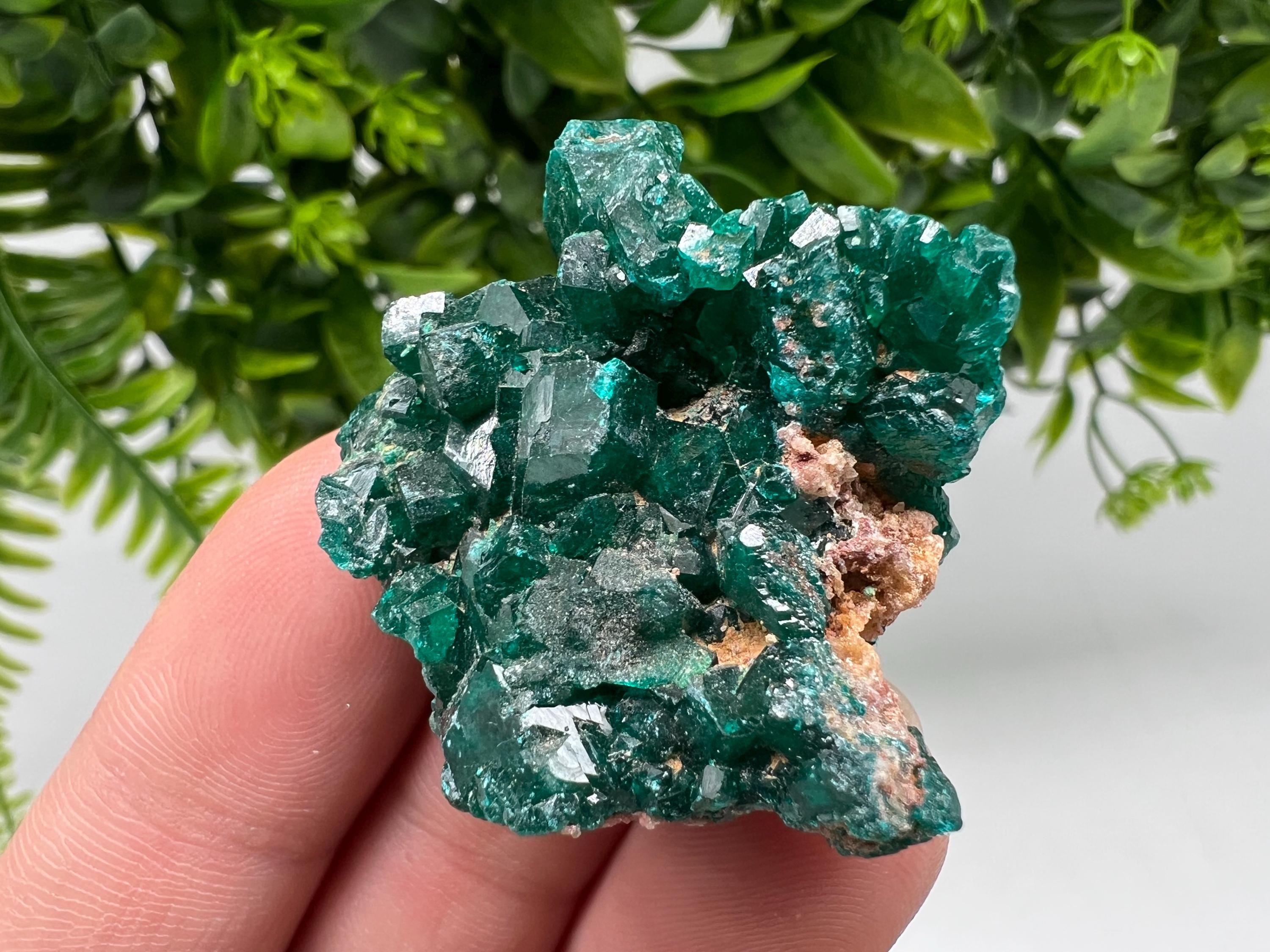 Stunning Green Dioptase from Sanda Hills,Mindouli,Pool Department,Mindouli District,Congo,green Dioptase,Dioptas Crystal,Dioptase collecting