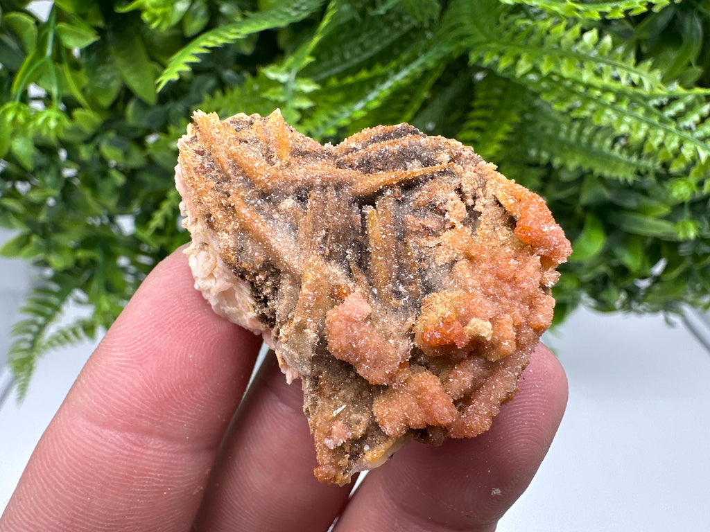 Red Vanadinite on Barite, Morocco Crystal Specimen