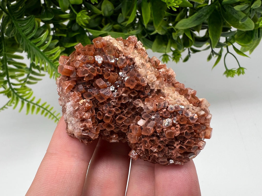 Large Aragonite Sputnik Cluster: Raw Moroccan Crystal Stone