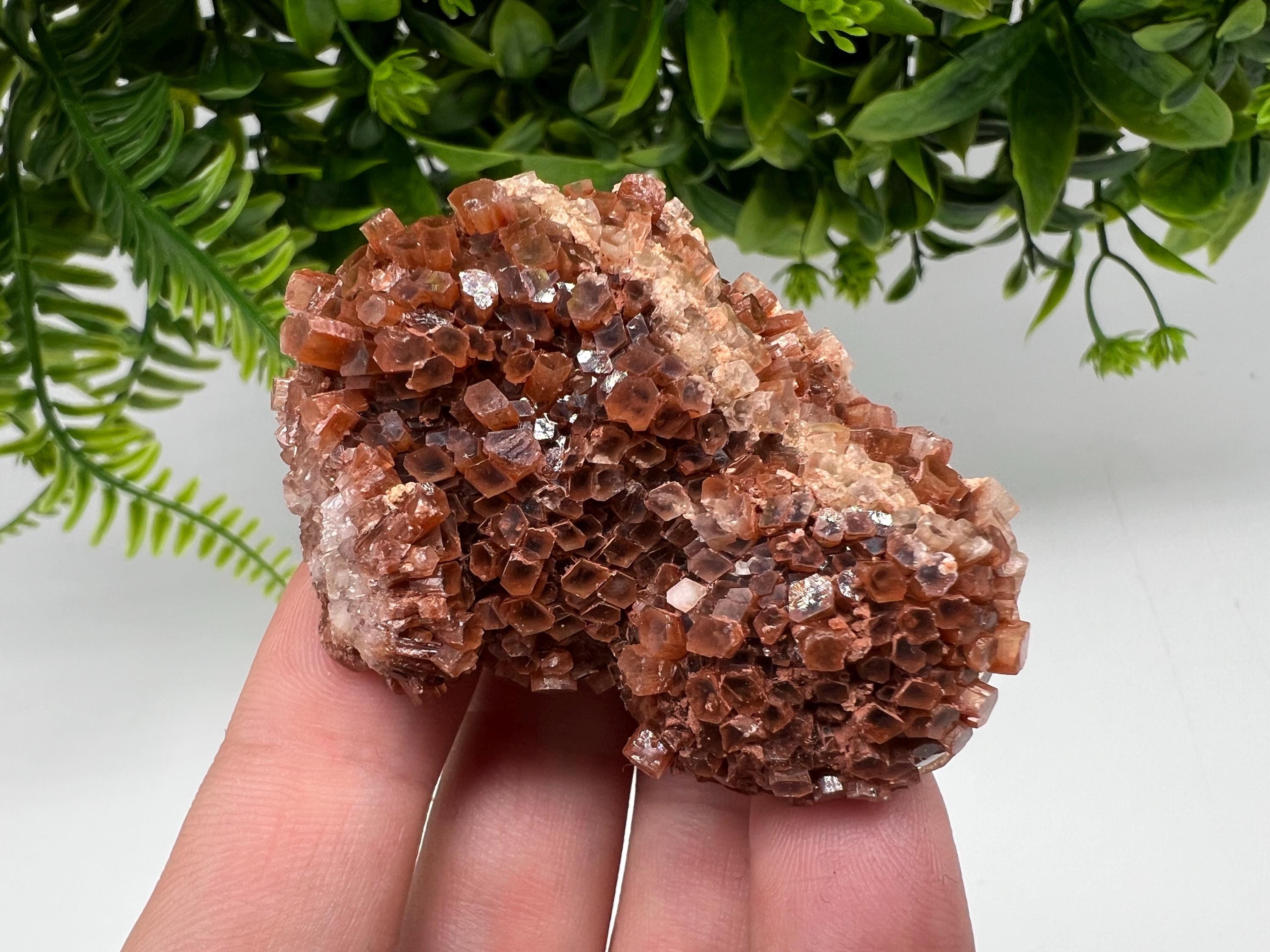 Large Aragonite Sputnik Cluster: Raw Moroccan Crystal Stone