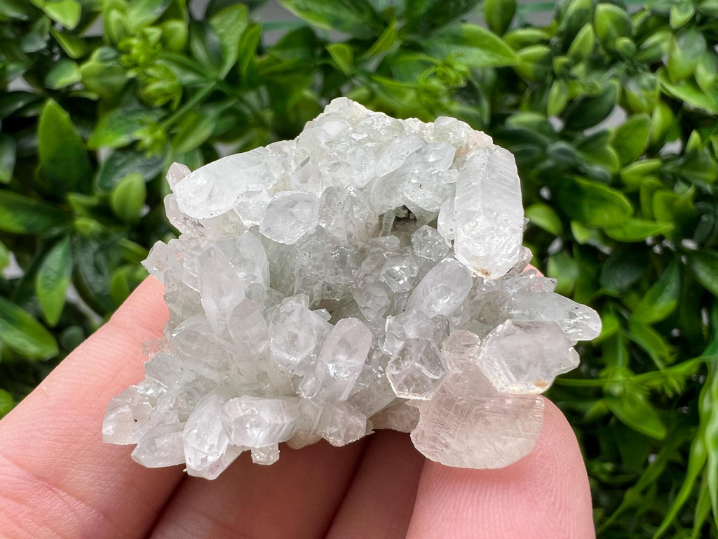 Wonderful Transparent Quartz on Chlorite Matrix,From Borieva mine,Madan,Bulgaria,Quartz,Quartz crystal,mineral specimen,collection quartz