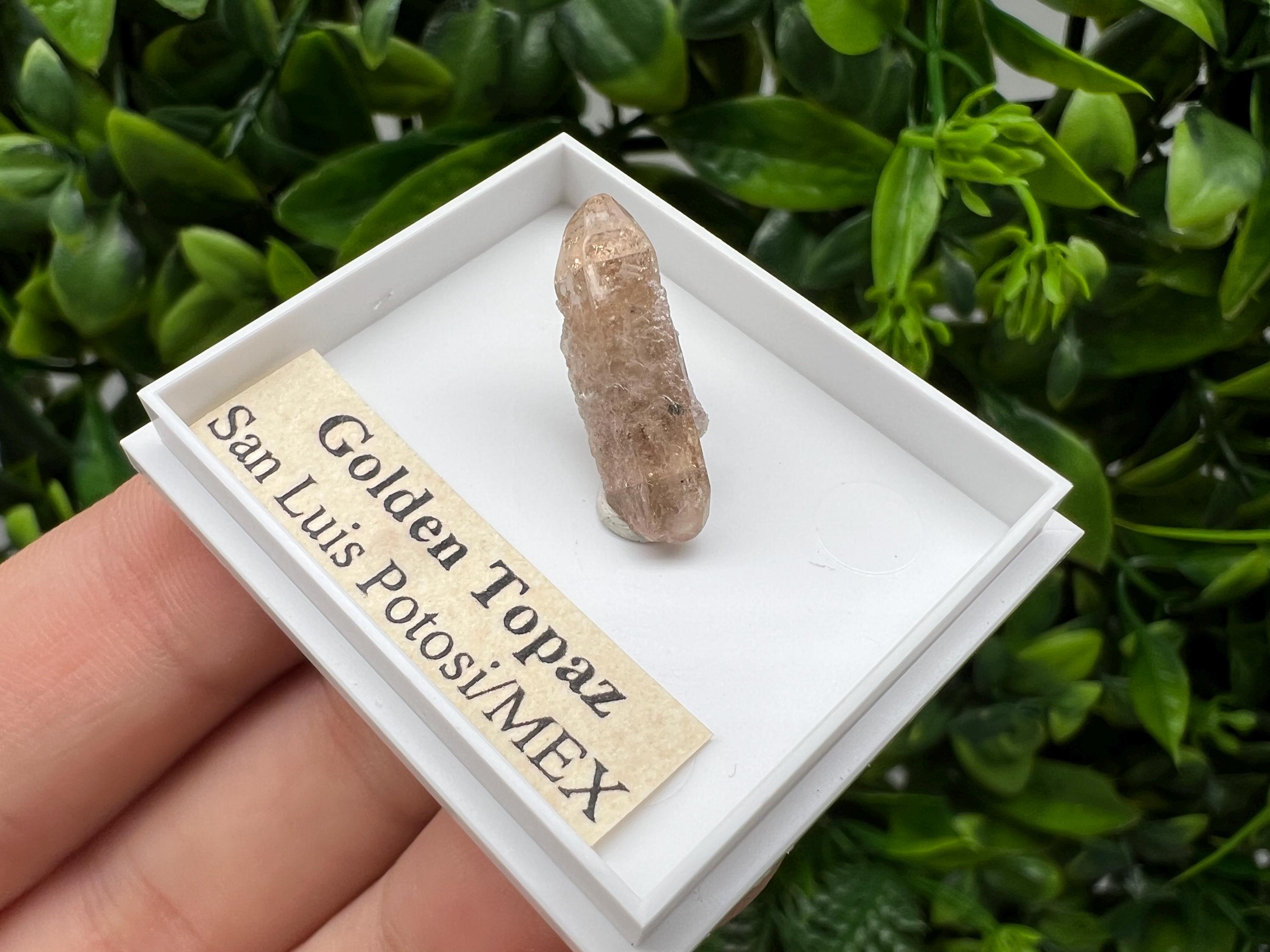 Mexican Golden Topaz Crystal, Mineral Collection Piece, Original