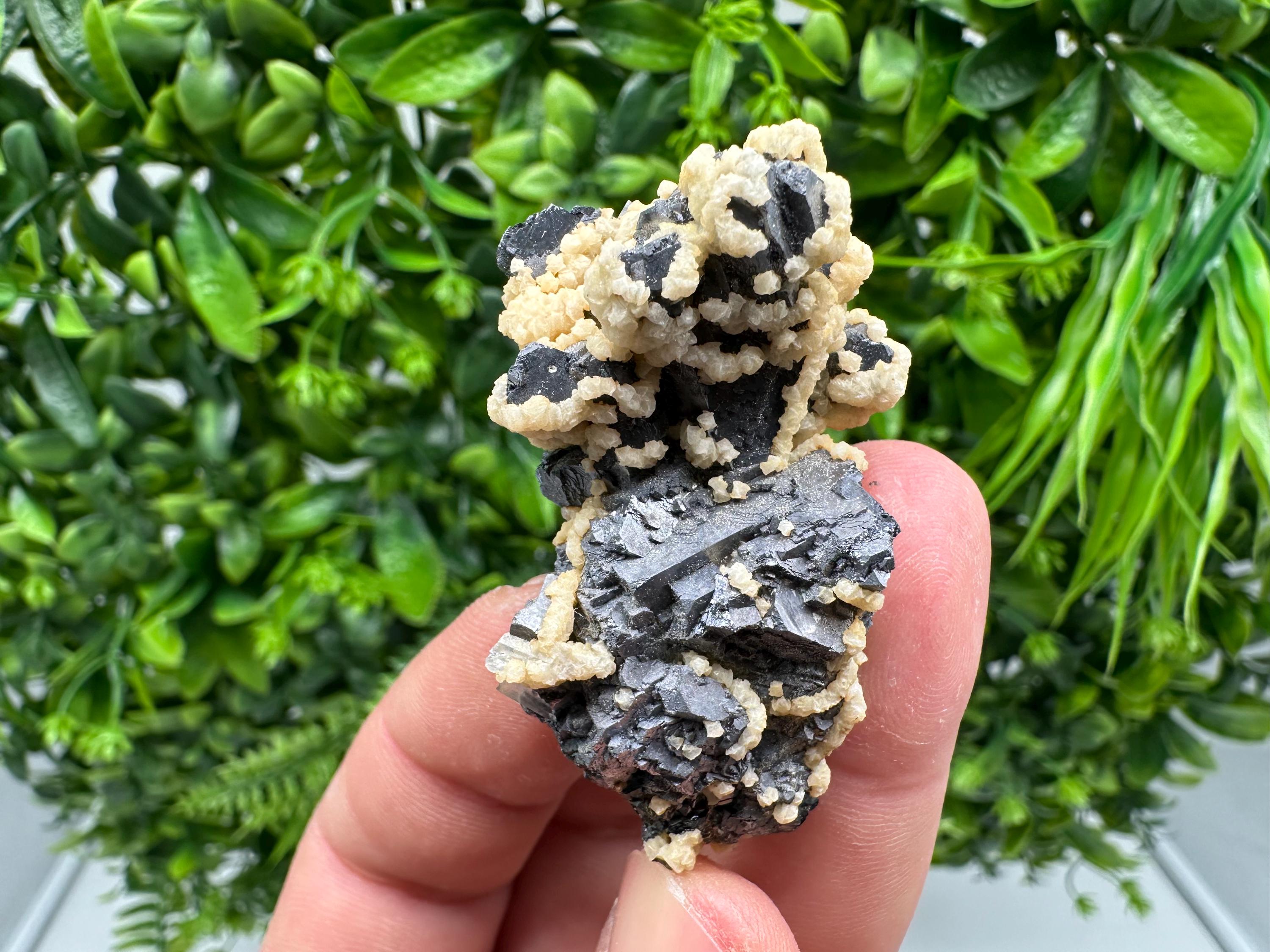 Skeletal Galena with Siderite and Sphalerite: Krushev dol Mine, Bulgaria