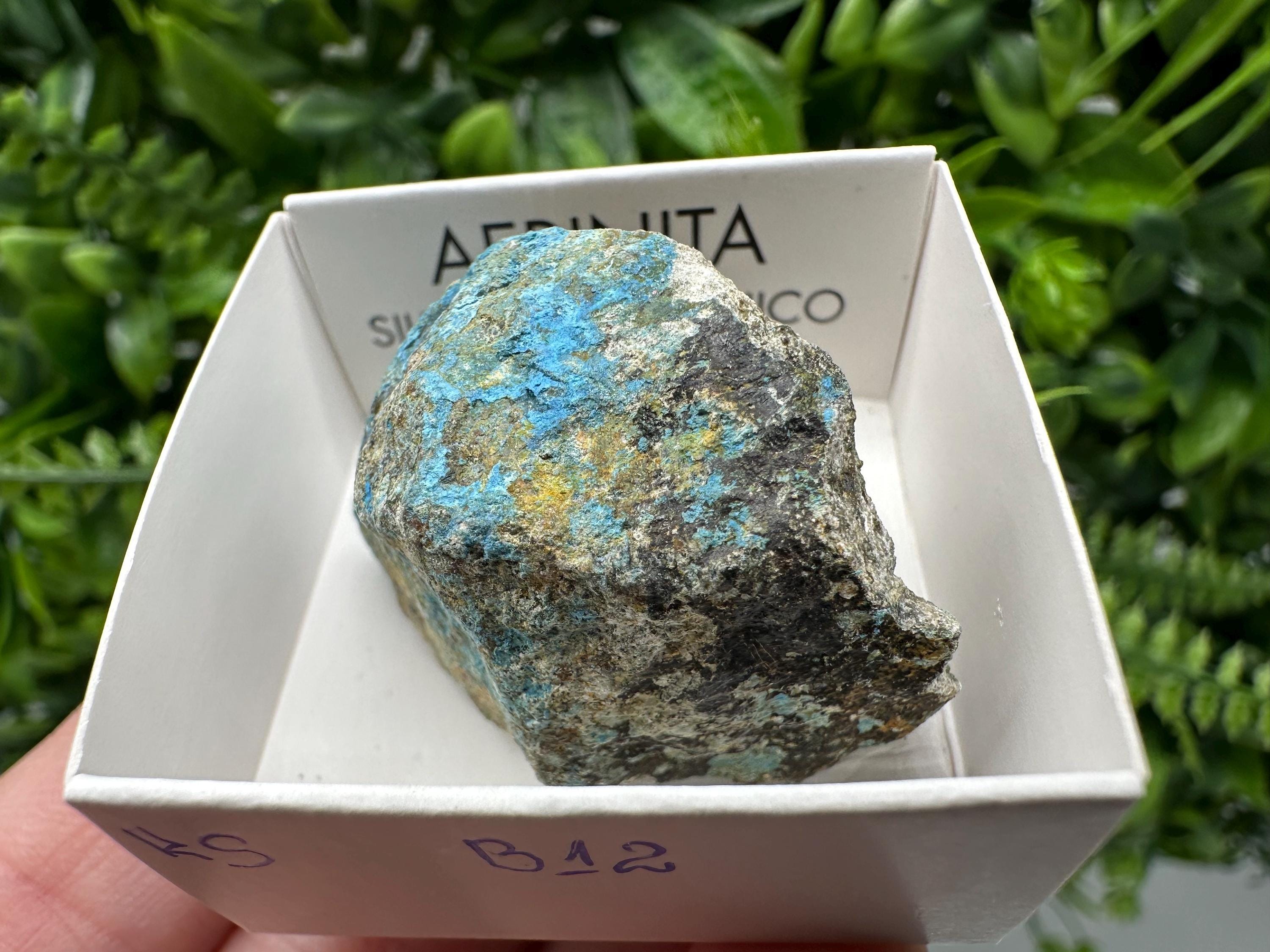 Rare Raw Aerinite Mineral Specimen: Lleida, Spain Crystal