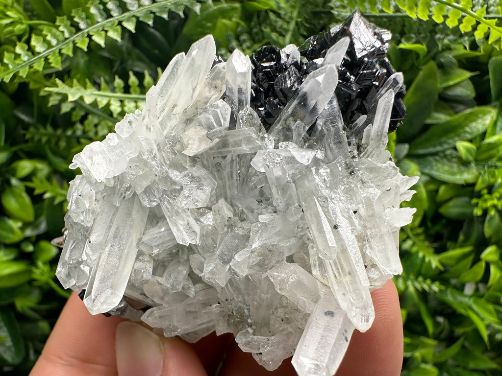 Quartz Cluster with Black Sphalerite, Krushev dol Bulgaria