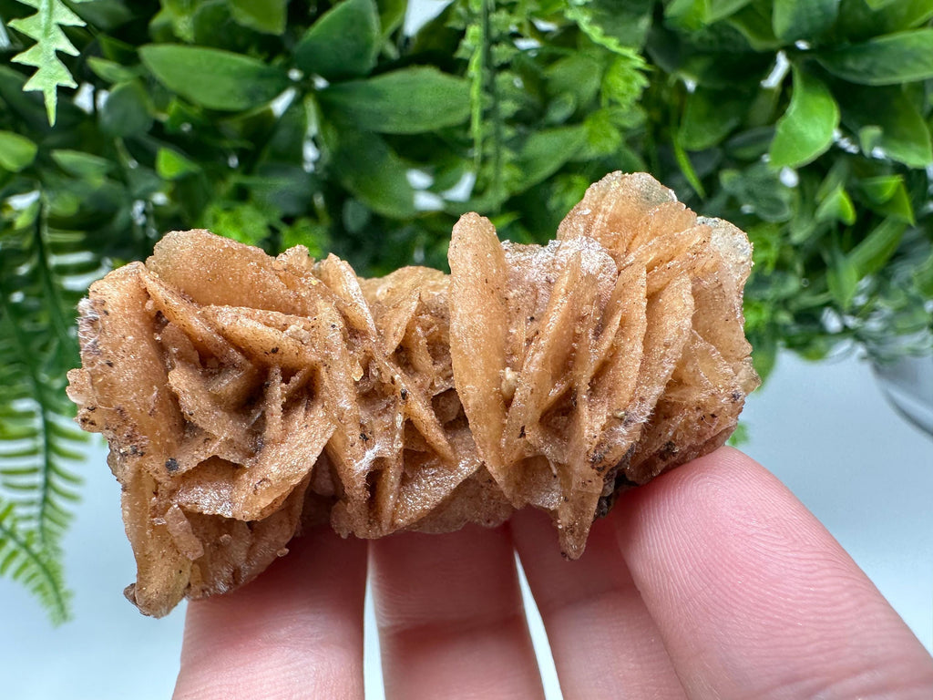 Natural Desert Rose Crystal - Root Chakra Healing Selenite Brown Stone - Vitality & Creativity Boost - Spiritual Gift for Home Decor,mineral