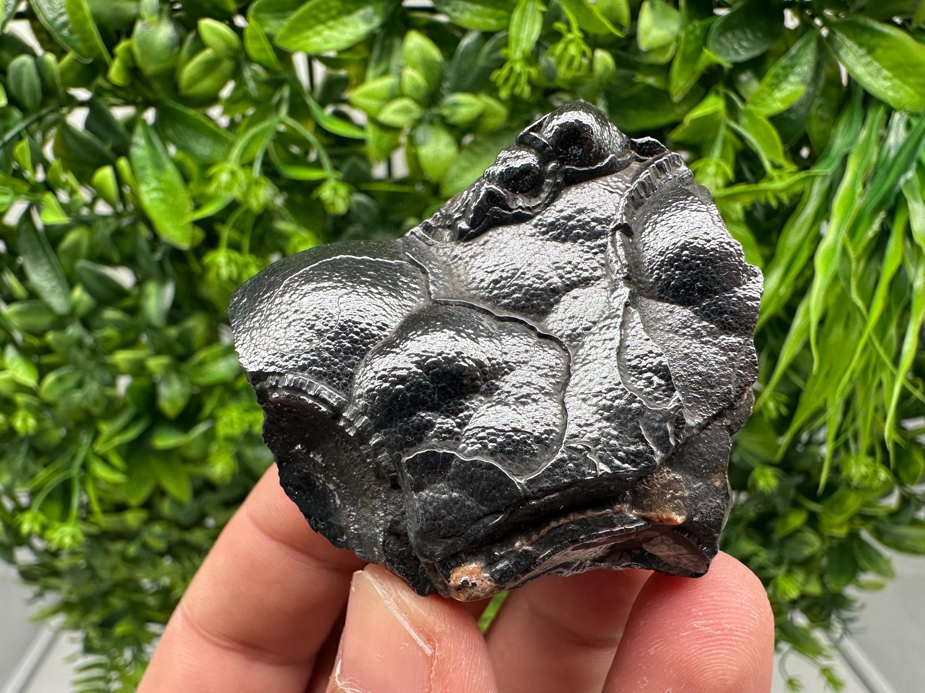 Botryoidal Black Hematite Specimen: Moroccan Crystal for Reiki Chakra