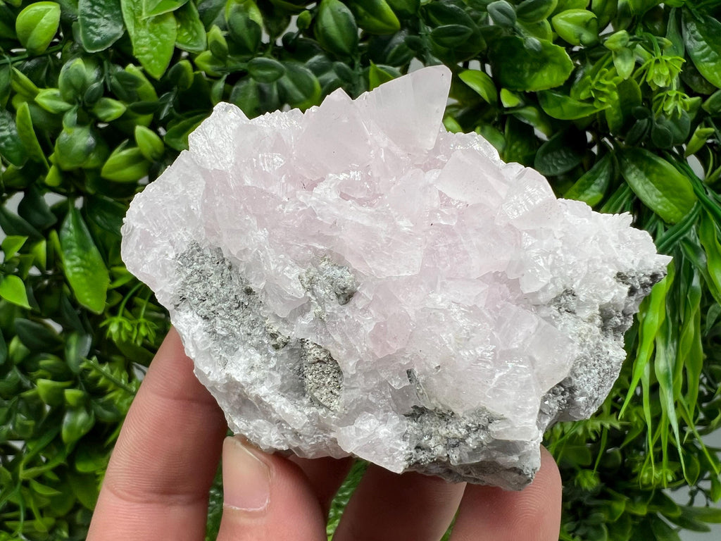 UV Reactive Mangano Calcite Crystal: Androvo Mine, Bulgaria