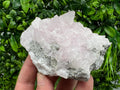 UV Reactive Mangano Calcite Crystal: Androvo Mine, Bulgaria