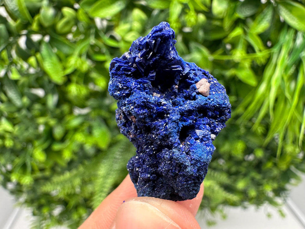 Crystallized Azurite-Kerrouchen,Morocco-Blue Azurite Specimen-High Quality Blue Azurite-Azurite Mineral Specimen, gemmy,lustrous of Azurite