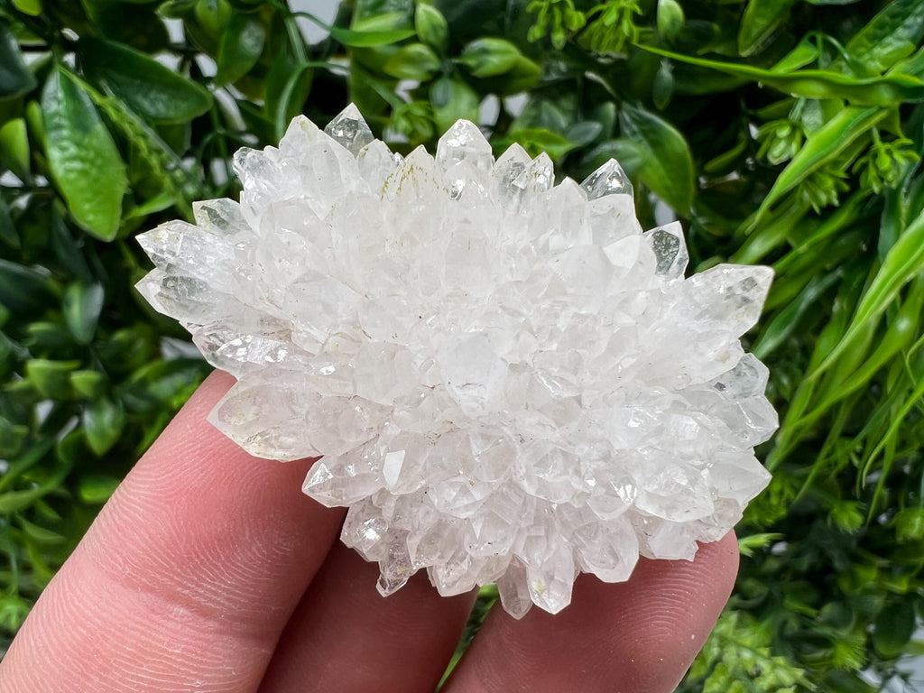 Stunning Transparent Quartz,from Borieva mine,natural collection mineral specimen rare crystal,home decor crystal,quartz cluster,Quartz,gift