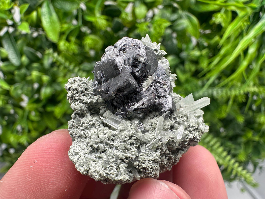 Sphalerite with Chlorite Mineral Specimen - Borieva Mine, Bulgaria