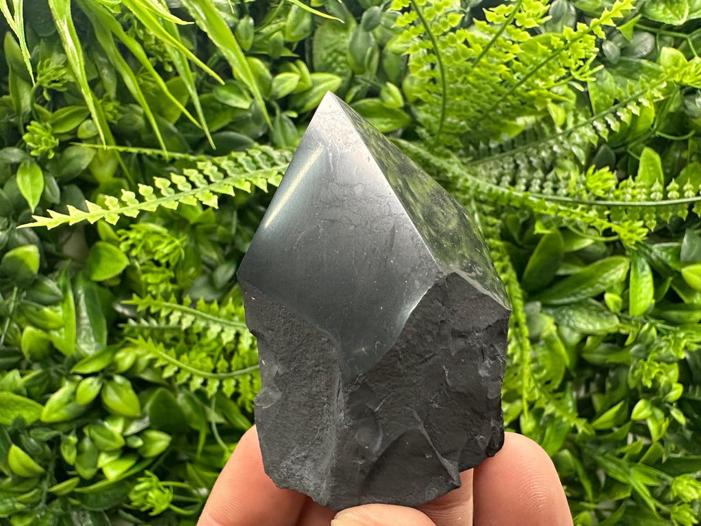 Polished Shungite Crystal: EMF Protection Stone (5cm)