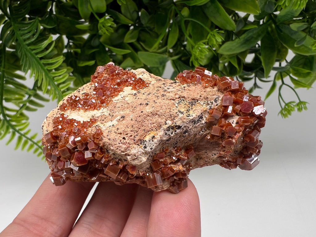 Red Vanadinite on Barite from Marocco,crystal minerals Speciment cluster Vanadinite crystal Vanadinite Geology Vanadinite cluster minerals
