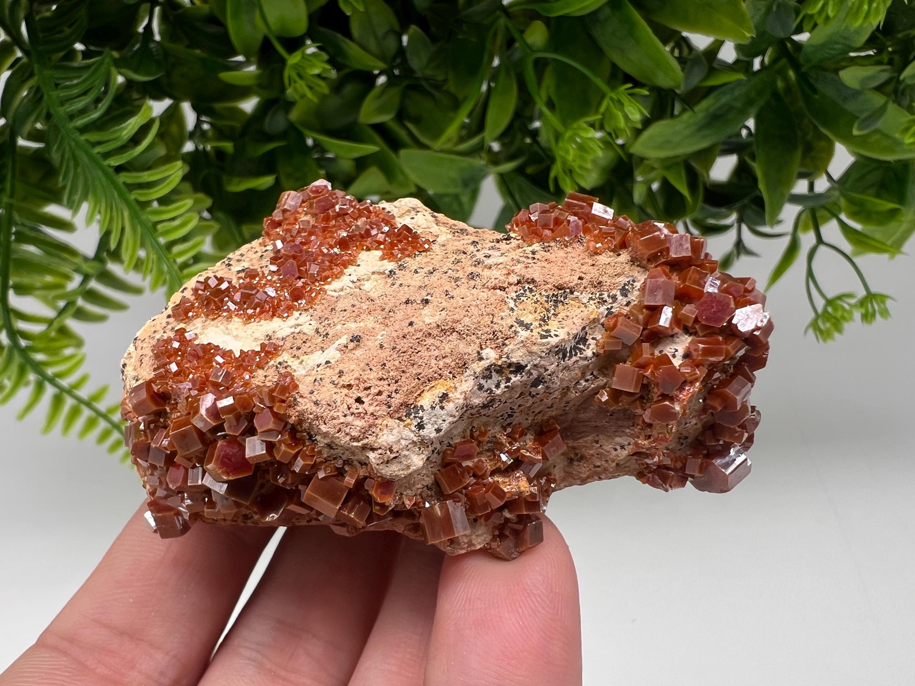 Red Vanadinite on Barite from Marocco,crystal minerals Speciment cluster Vanadinite crystal Vanadinite Geology Vanadinite cluster minerals