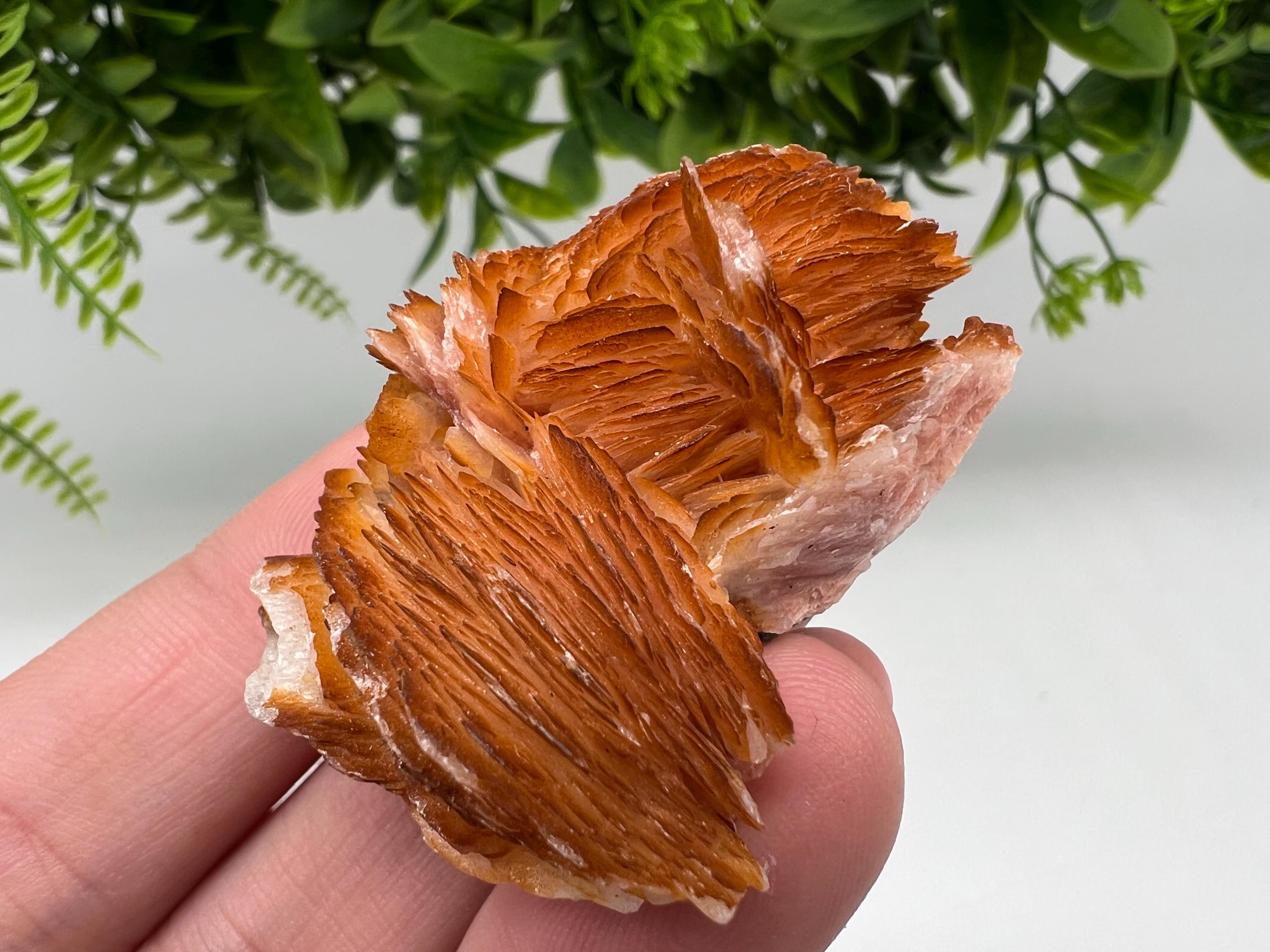 Wonderful Baryte with Cerussite on Galena from Morocco,Crystal, Mineral,Specimen,Cluster,Crystals,Barite Crystal,Cerussite Crystal,Specimen