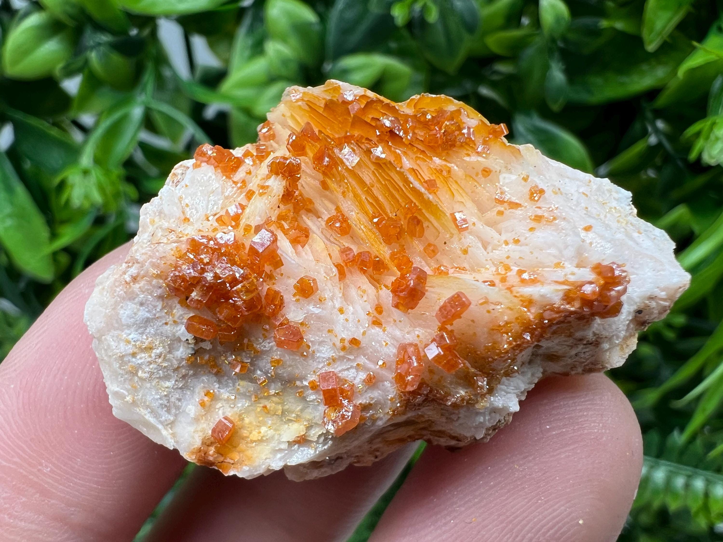 Red Vanadinite on Barite from Marocco,crystal minerals Speciment cluster Vanadinite crystal Vanadinite Geology Vanadinite cluster minerals