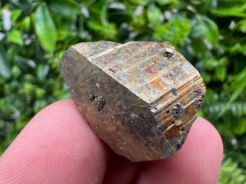 Rare Crystallized Pyrite Cluster, Borieva Mine Specimen