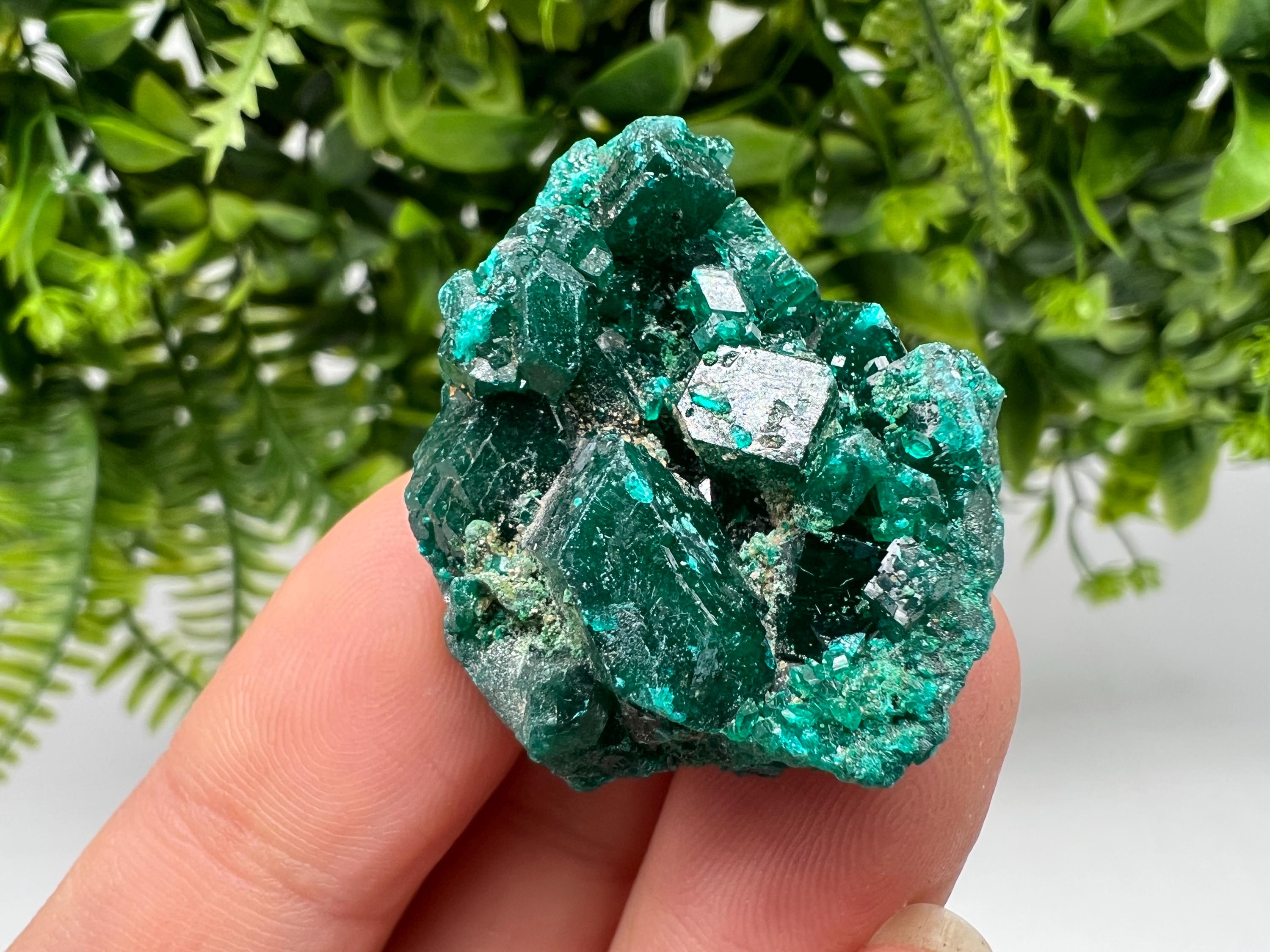 Stunning Green Dioptase from Sanda Hills,Mindouli,Pool Department,Mindouli District,Congo,green Dioptase,Dioptas Crystal,Dioptase collecting