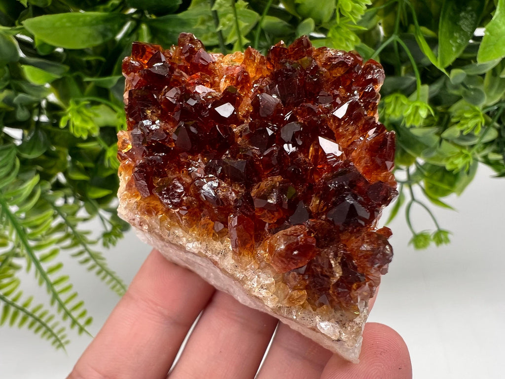 Brazilian Citrine Crystal Cluster, Hematite Inclusions