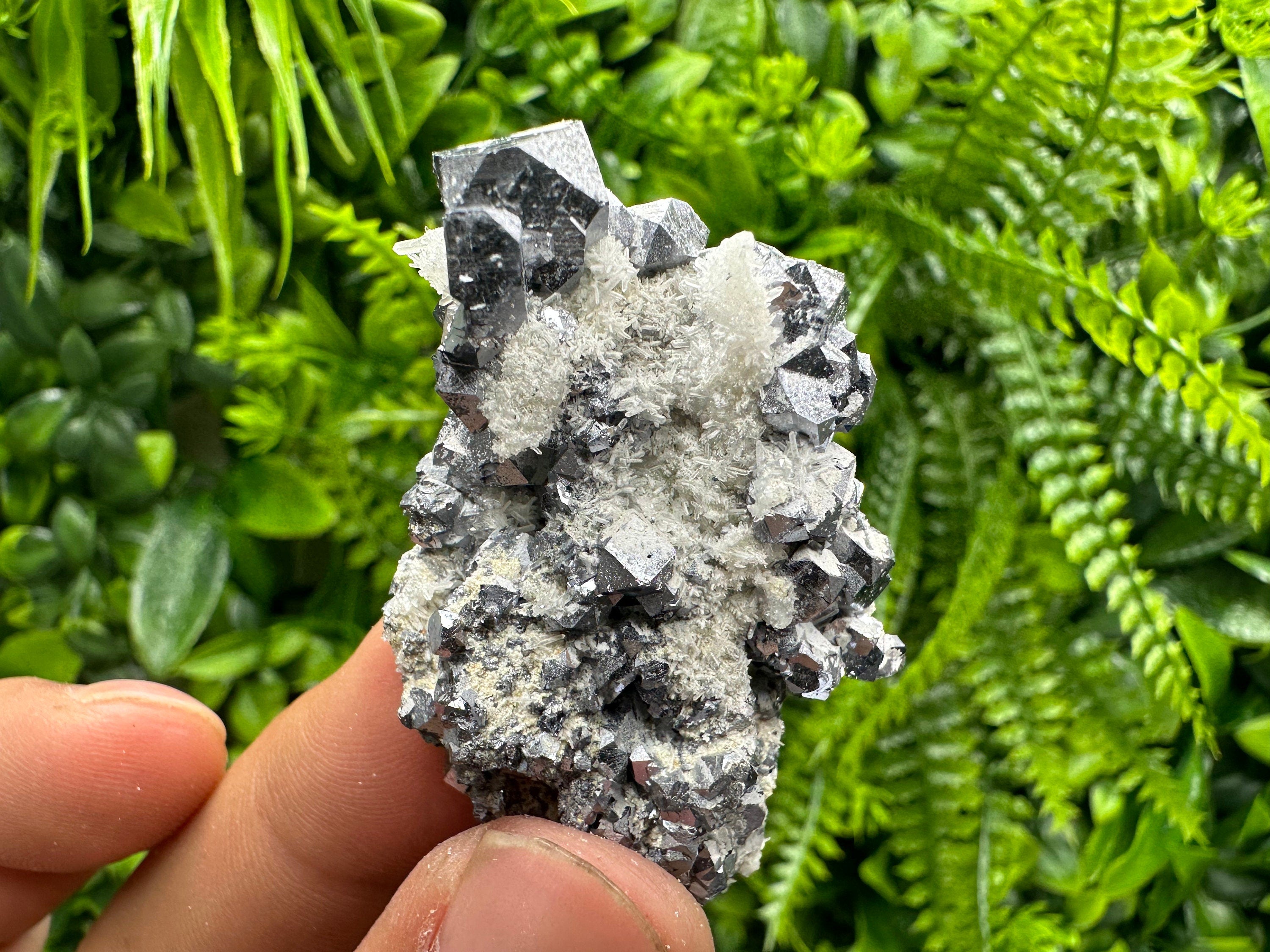 Skeletal Galena on Quartz: Natural Mineral Specimen, Borieva Mine