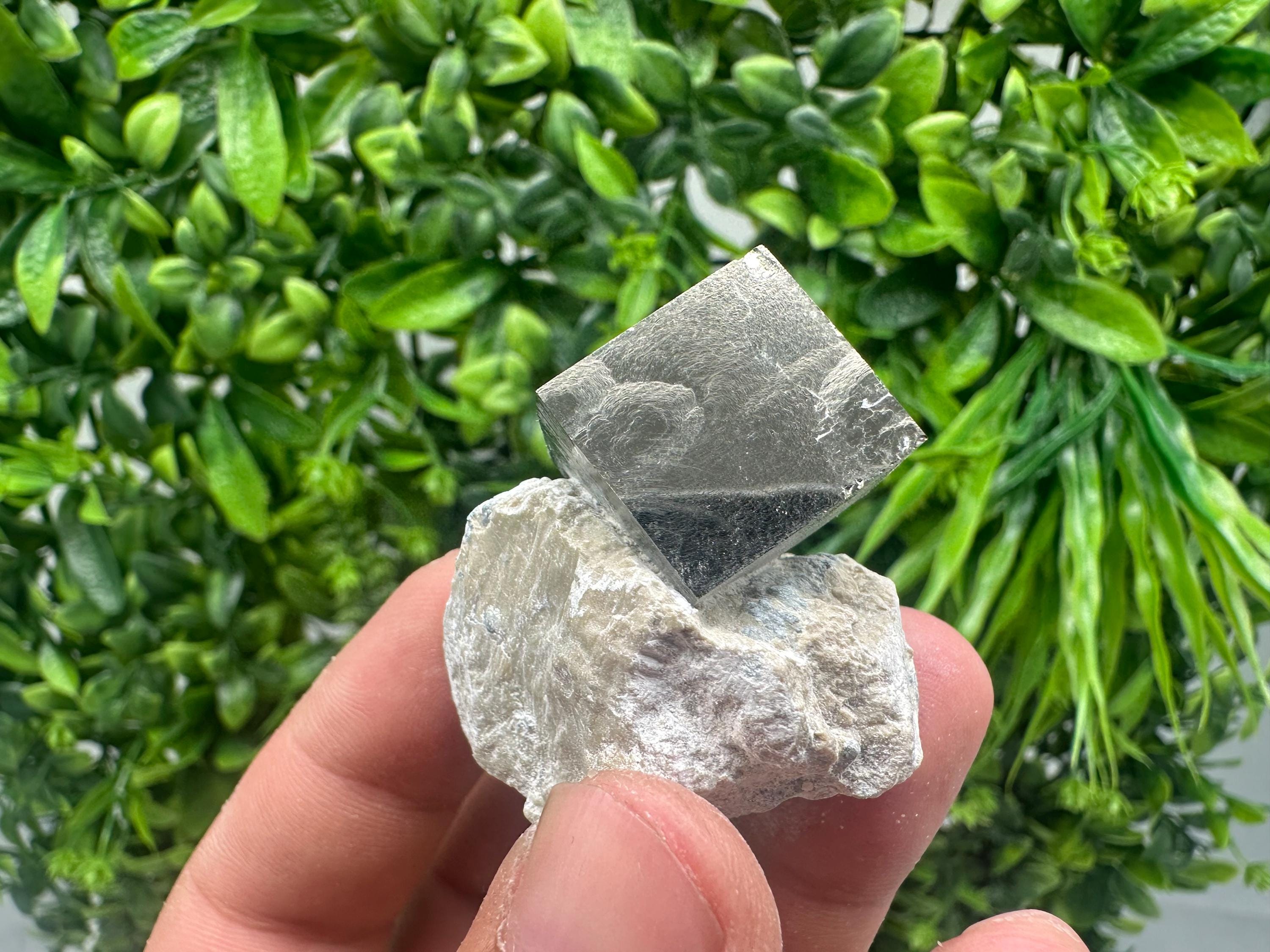 Large Pyrite cubes on Matrix,Gold,Cube PYRITE, Navajun, La Rioja,SPAIN,natural Pyrite shiny Pyrite home decor stone gift minerals,collectibl