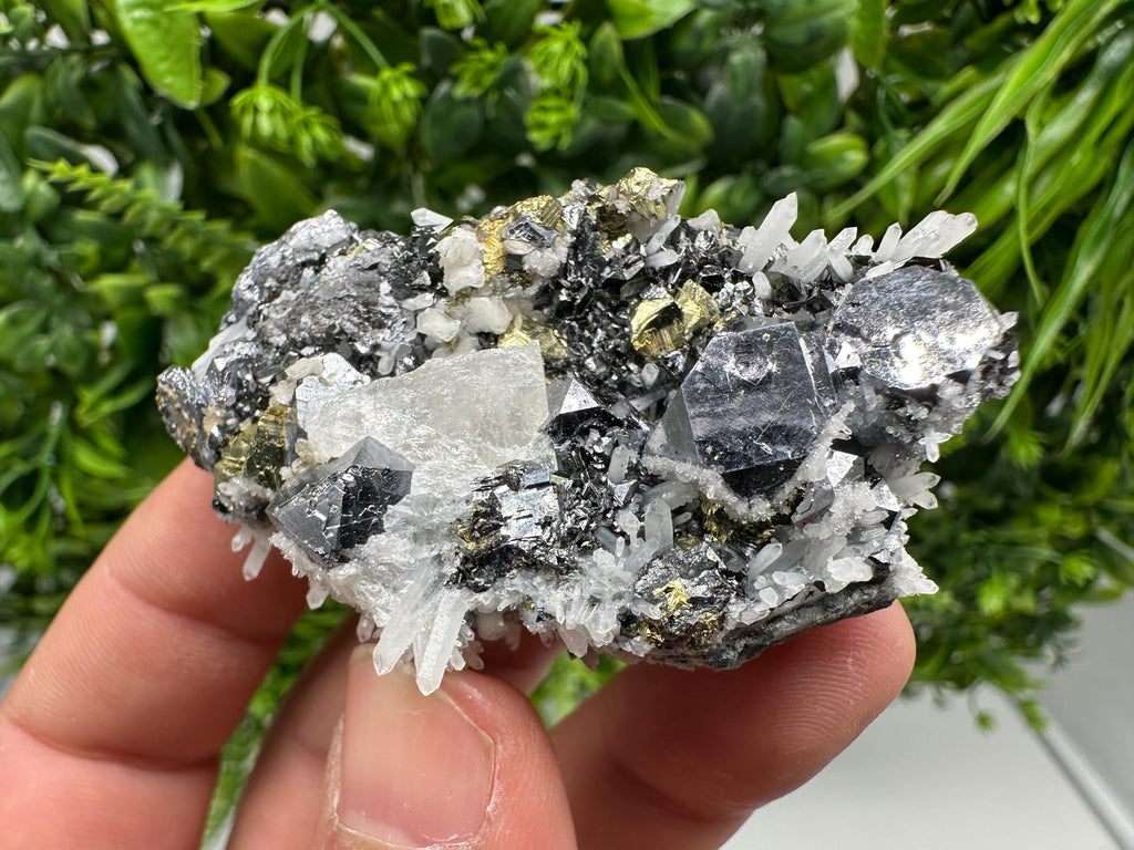 Rare Galena Sphalerite Pyrite Specimen, Krushev dol Mine, Bulgaria