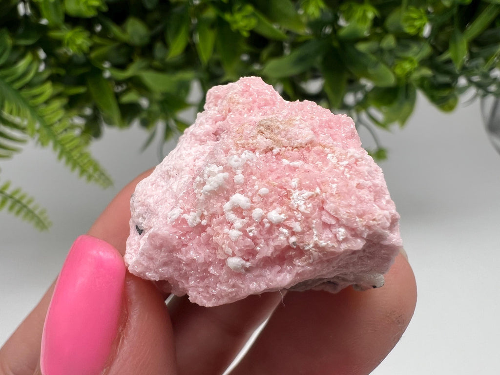 RARE Rhodochrosite with Calcite, Starnica Mine, Bulgaria